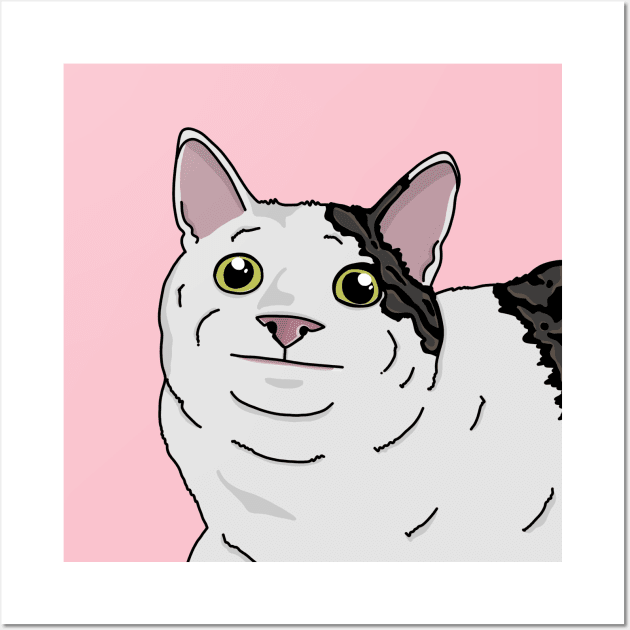 Polite cat sale
